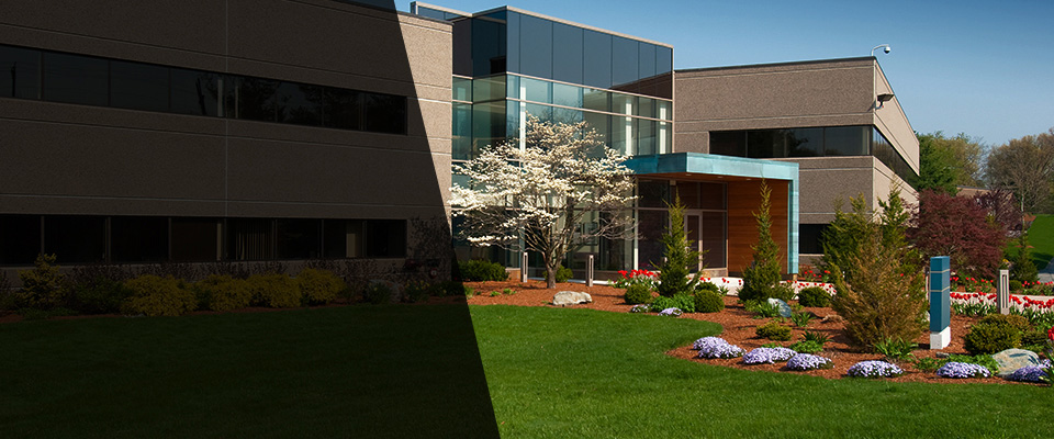 North Fort Myers Landscapers