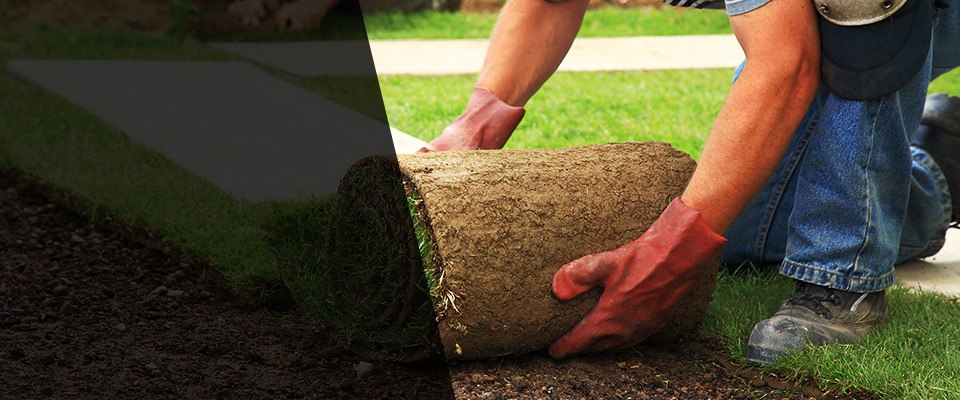 North Fort Myers Landscapers